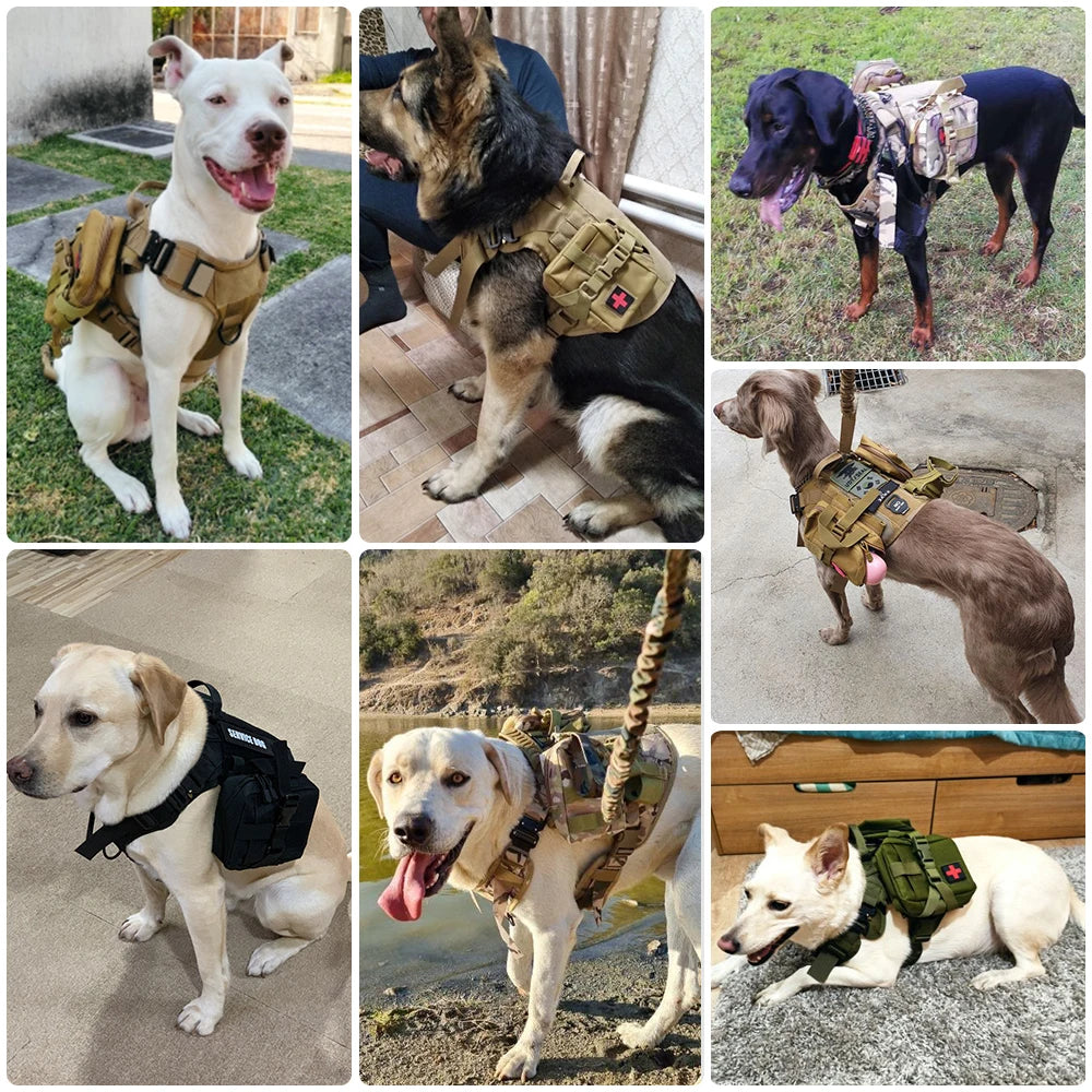 Padded Tactical Dog Harness Leash Set With Quick Release Handle
