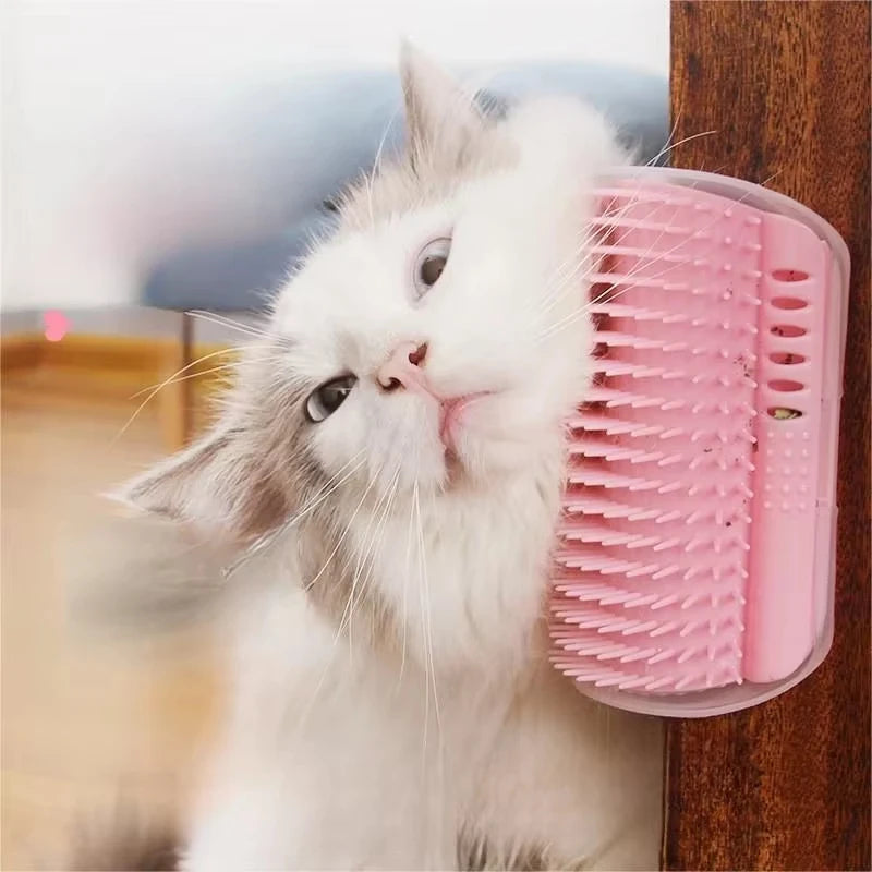 Cat Scratcher Massage Comb With Catnip For Pet Grooming