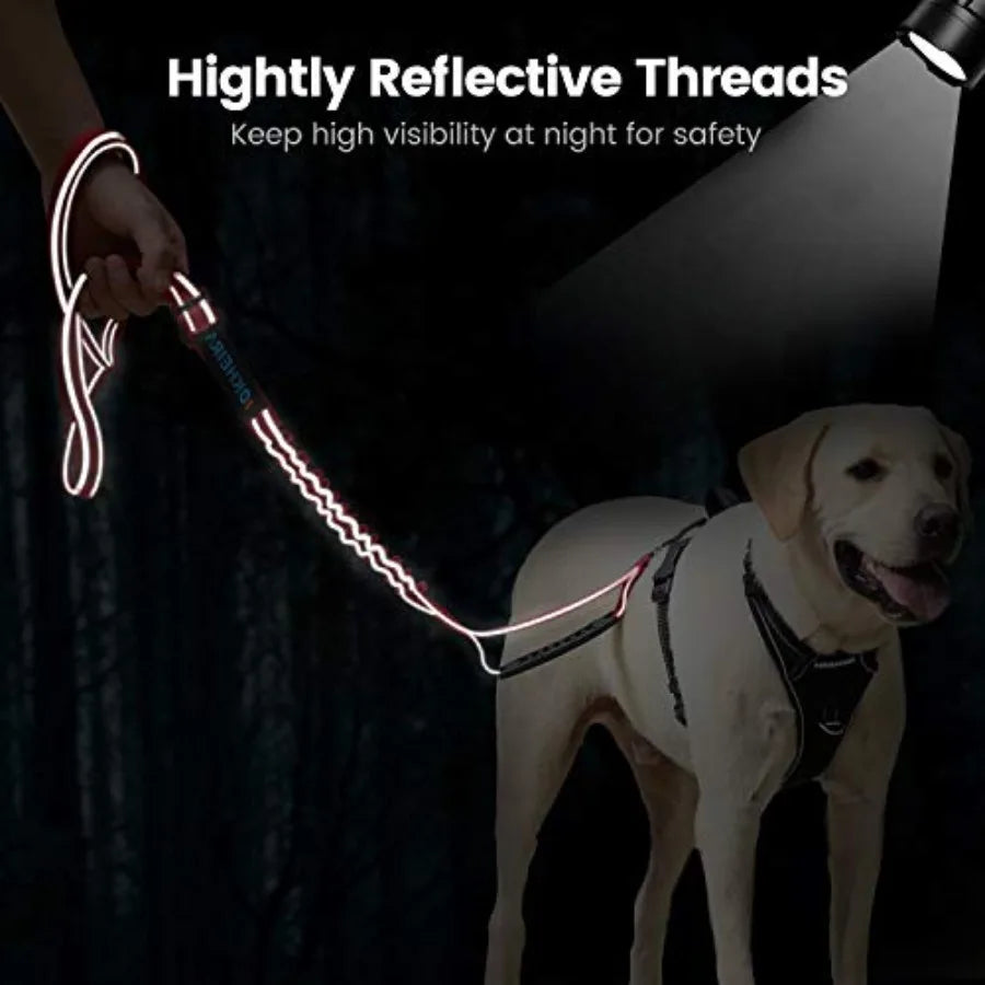 Heavy Duty Nylon Reflective Dog Leash With Comfortable Padded Handle