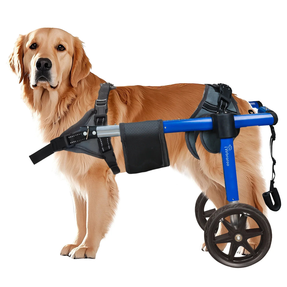 Dog Wheelchair For Back Legs With All Terrain Tires