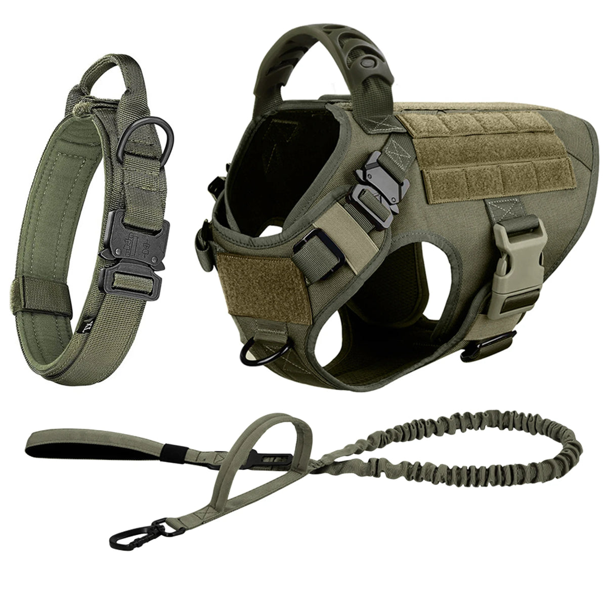 Padded Nylon Dog Harness And Leash Set With Buckle Closure