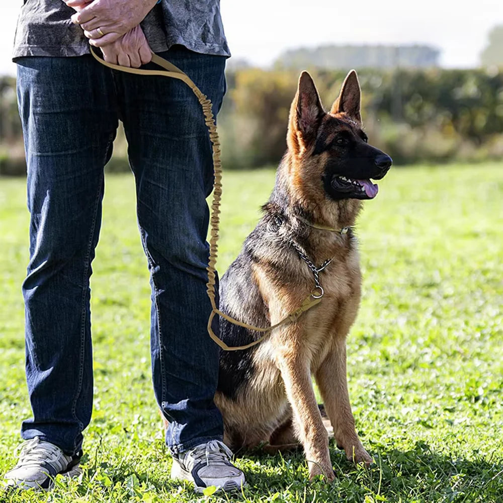Adjustable Tactical Dog Leash Quick Release Double Handle Nylon Rope