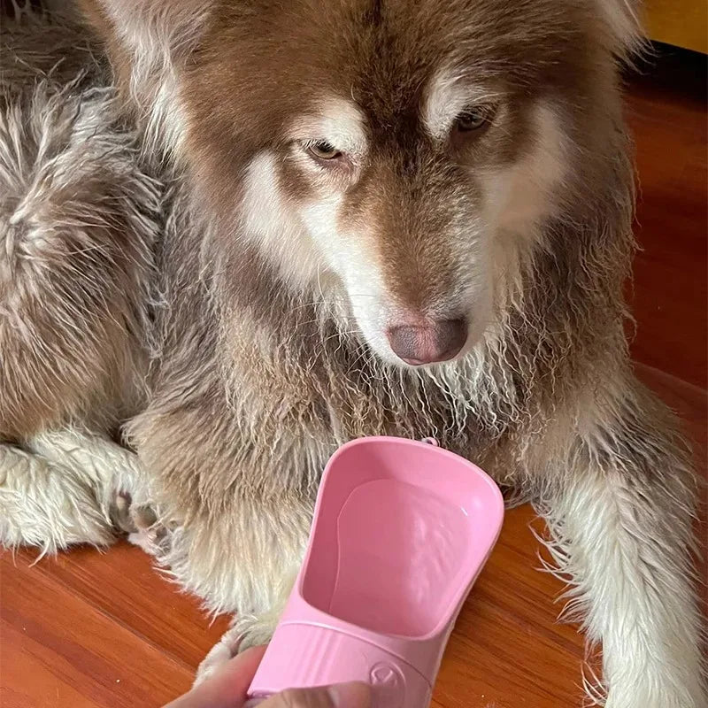 Portable Pet Travel Water Bottle With Integrated Food Container
