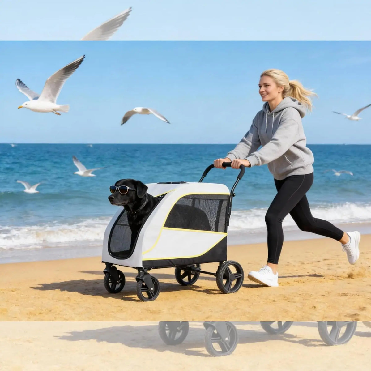 Dual Entry Dog Stroller With Secure Brake And Spacious Interior
