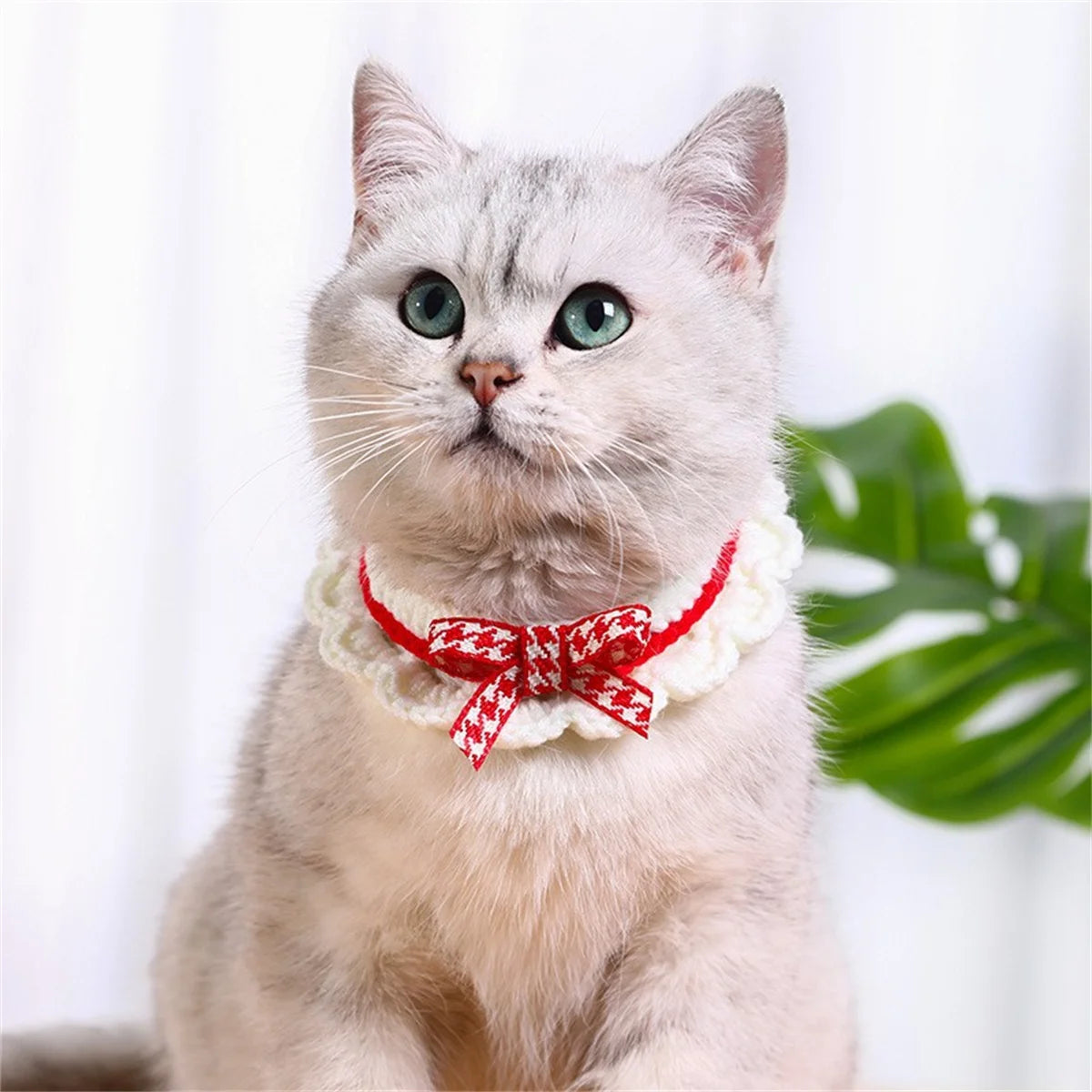 Decorative Knitted Bow Knot Collar For Kittens And Puppies