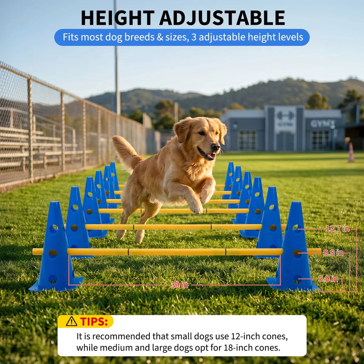 Dog Agility Training Set With Adjustable Hurdles And Training Cones